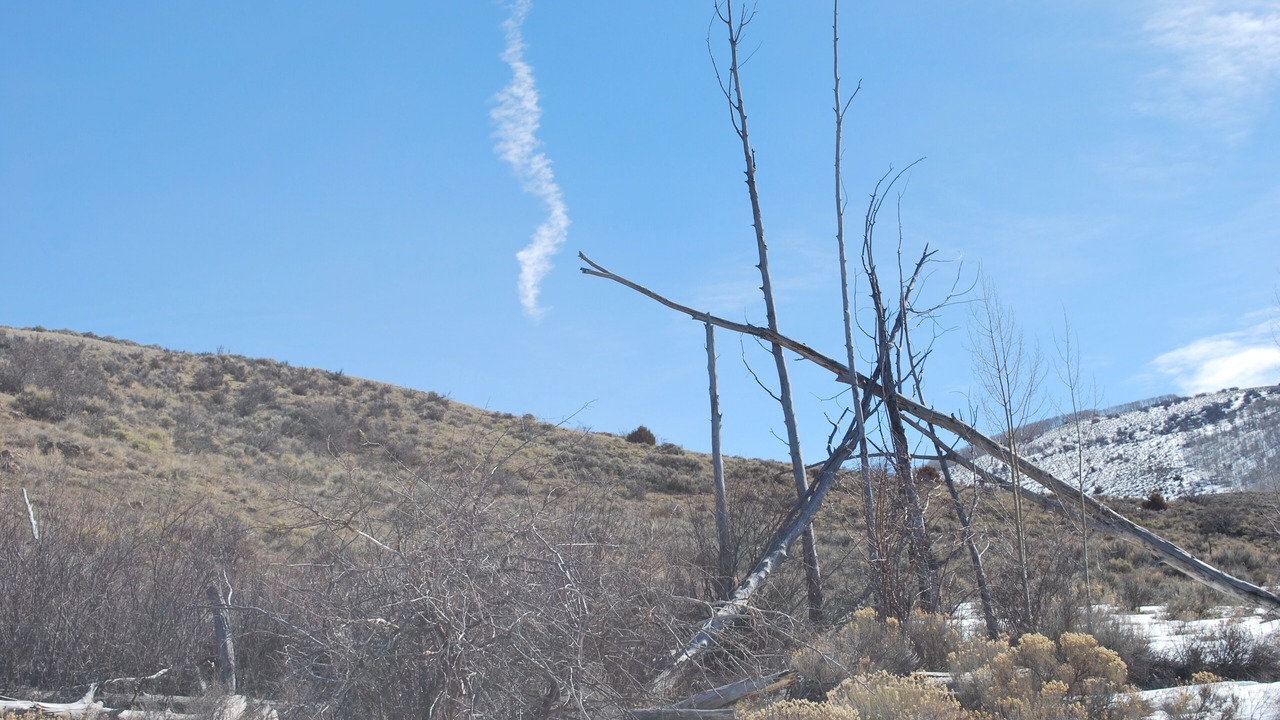 Photo of Others in Edwards