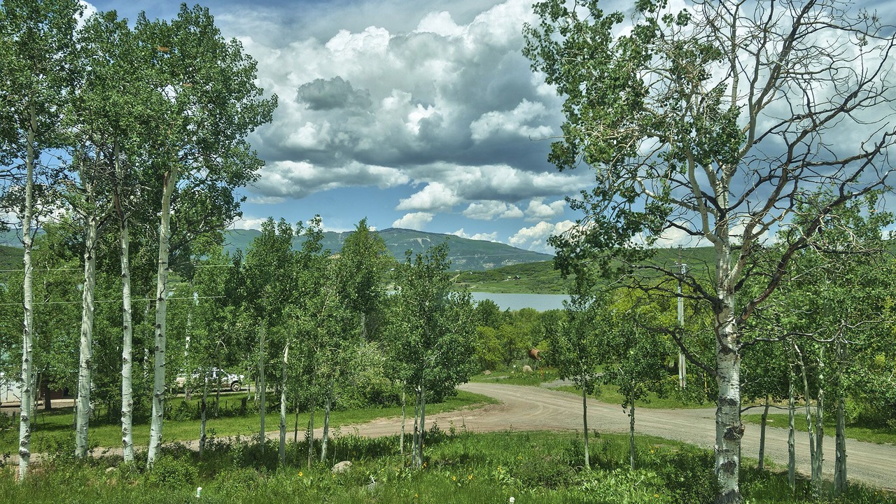 Photo of Outdoor in Collbran