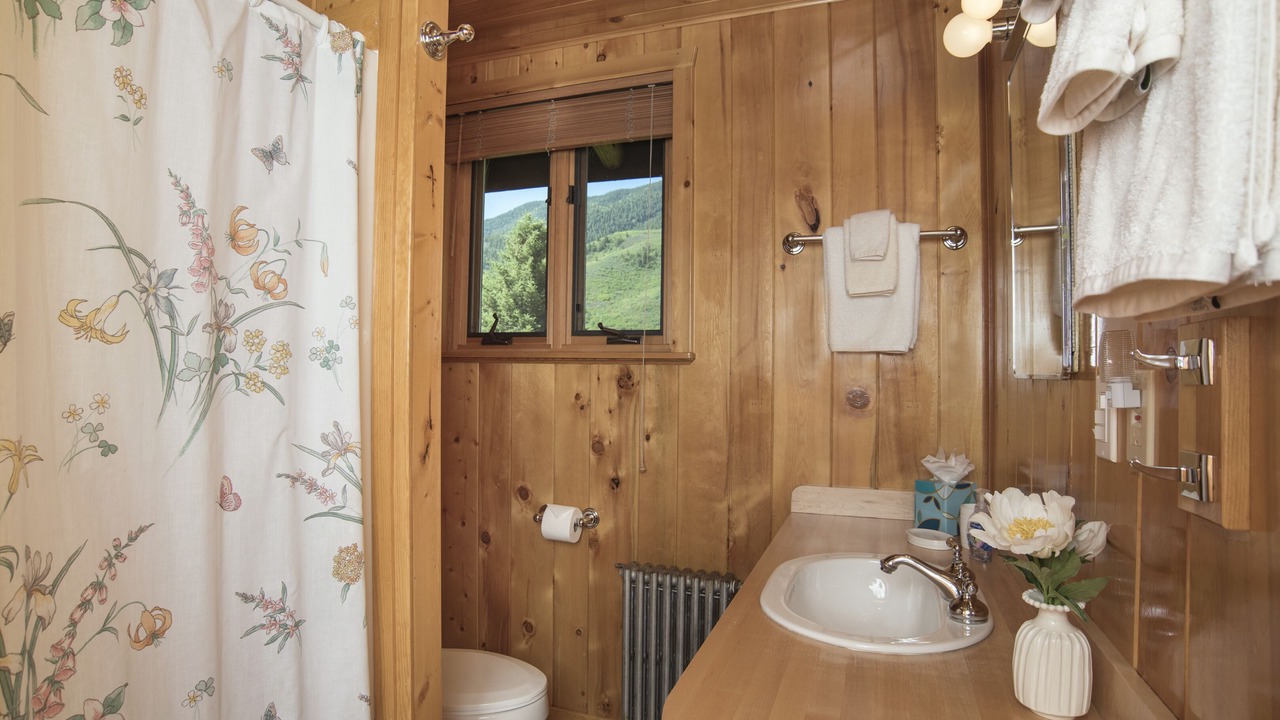 Photo of Bathroom in Basalt