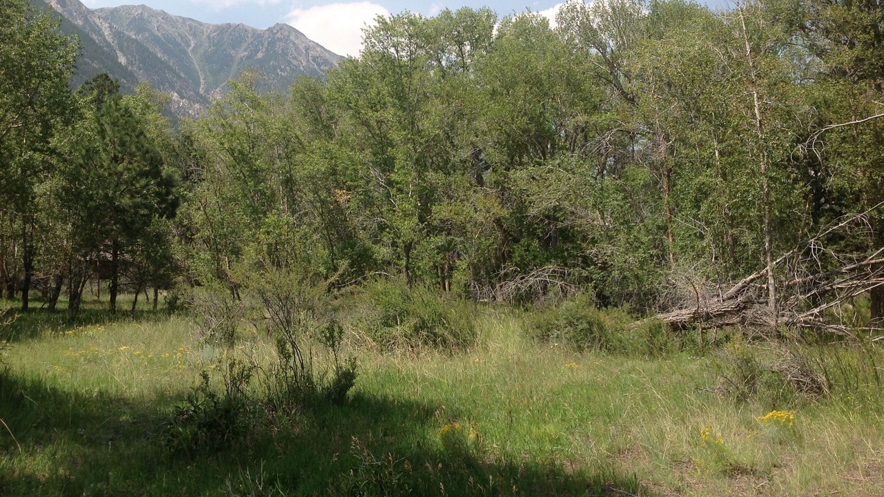 Photo of Others in Buena Vista