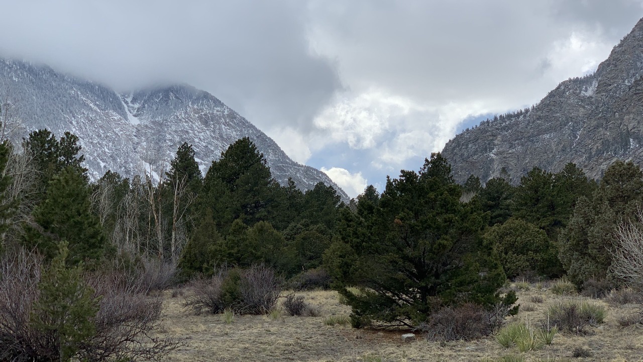Photo of Others in Buena Vista
