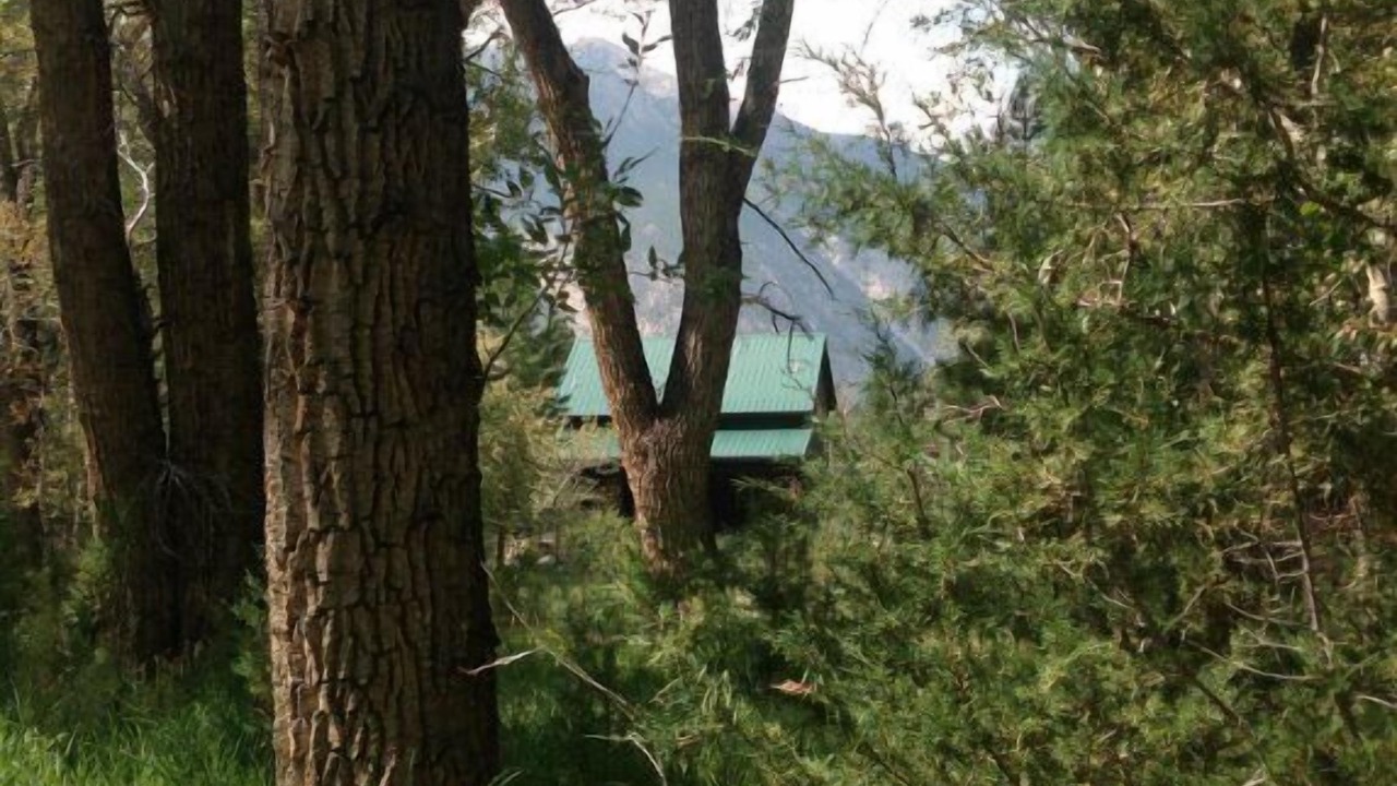 Photo of Others in Buena Vista