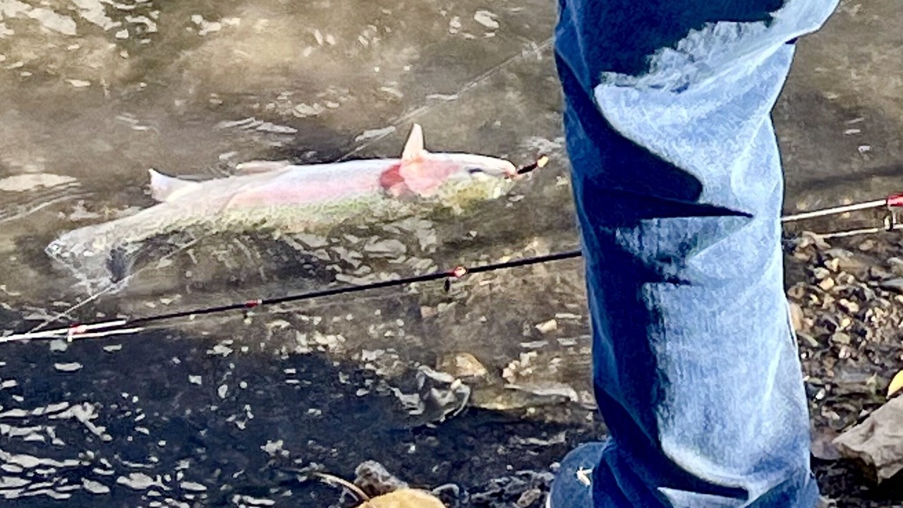 Photo of Others in Pagosa Springs