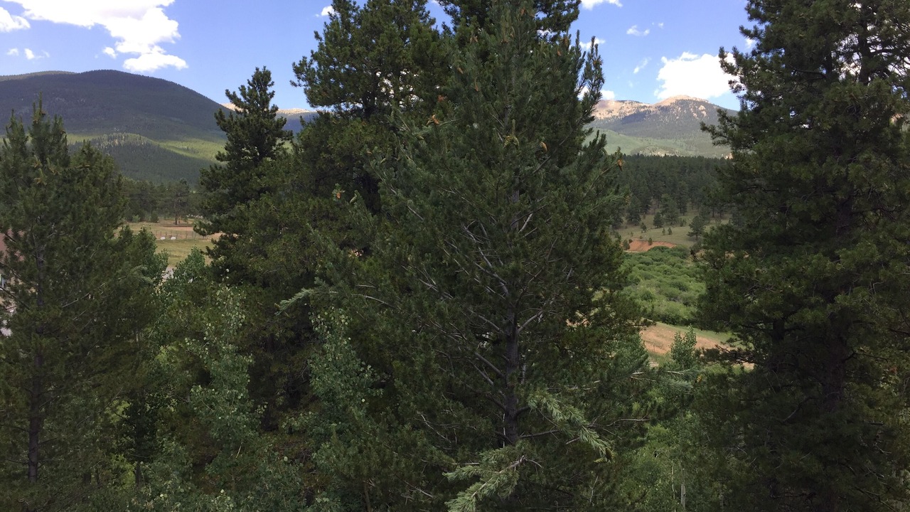 Photo of Others in Bailey