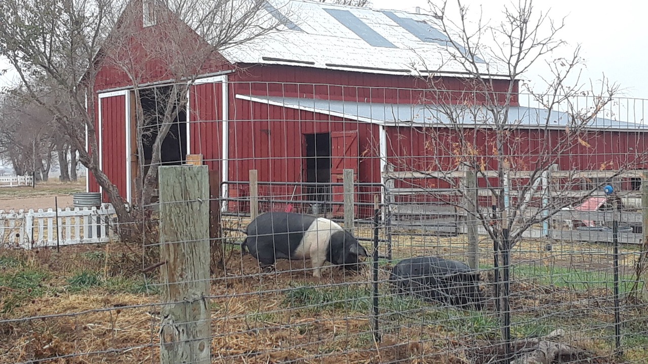 Photo of Others in Eaton