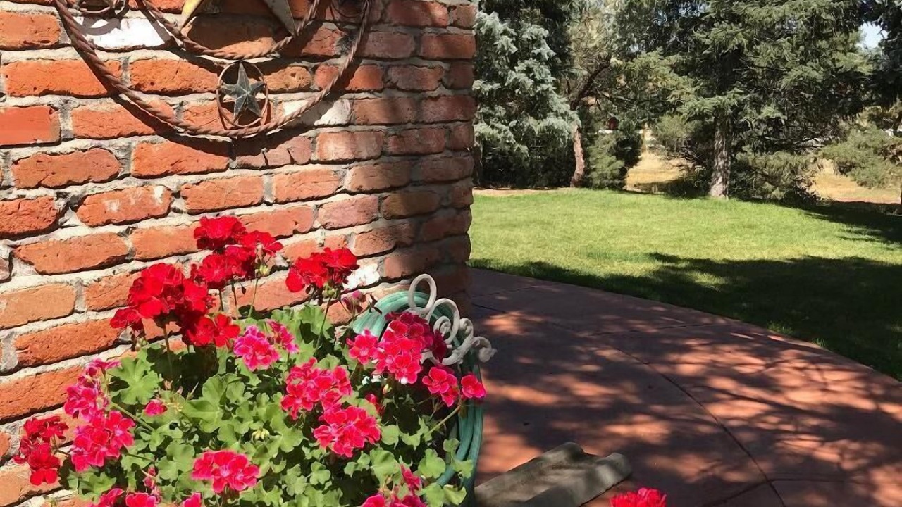 Photo of Outdoor in Parker