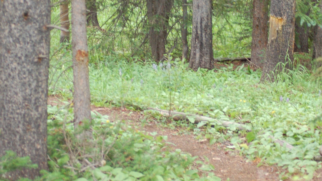 Photo of Others in Breckenridge