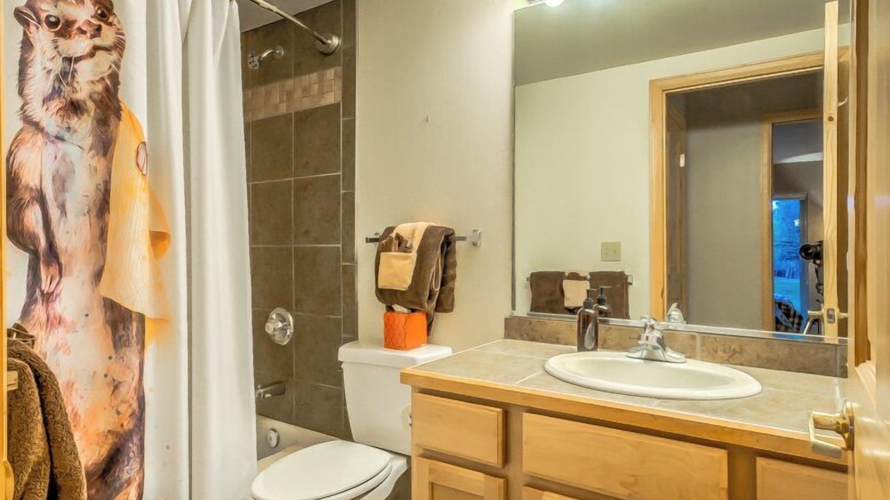 Photo of Bathroom in Steamboat Springs