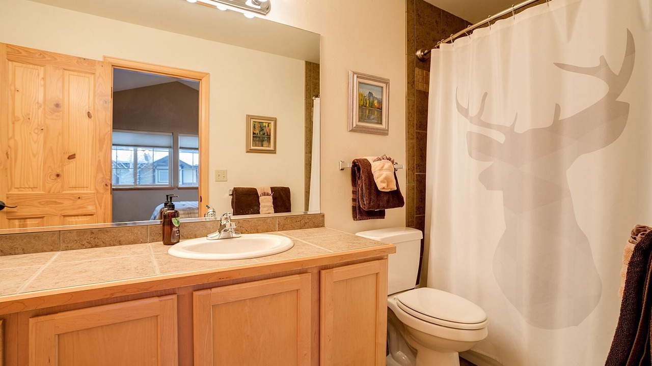 Photo of Bathroom in Steamboat Springs