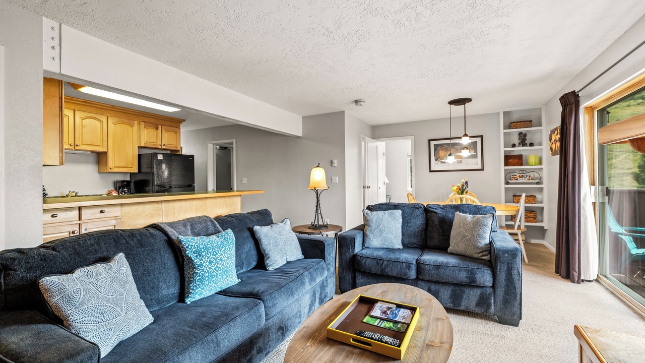 Photo of Livingroom in Steamboat Springs