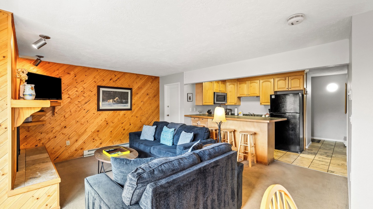 Photo of Livingroom in Steamboat Springs