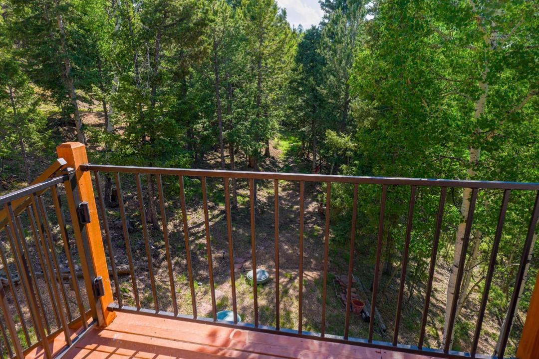 Photo of Patio Balcony in Woodland Park