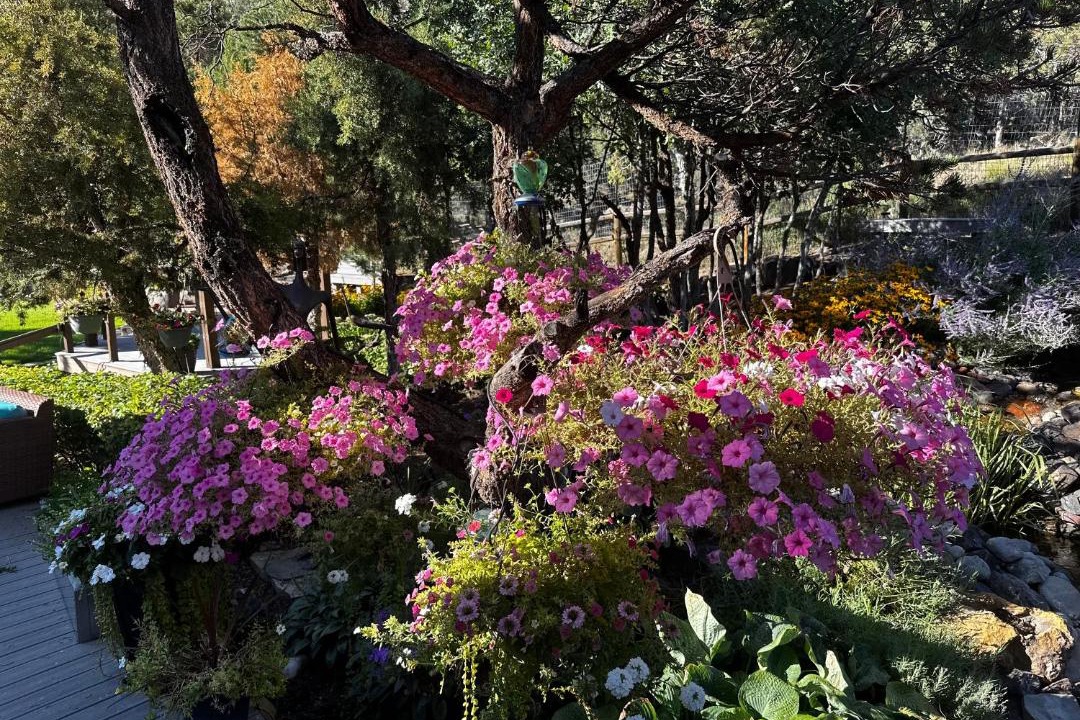 Photo of Others in Cerise Ranch