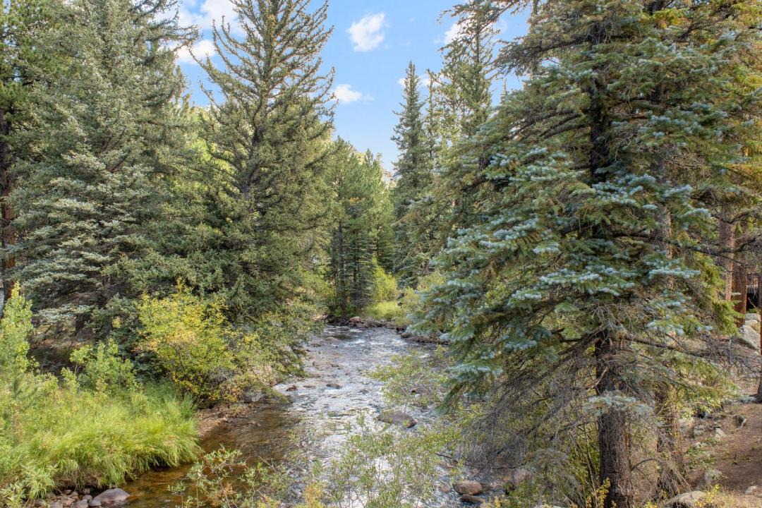 Photo of Others in Aspen Brook