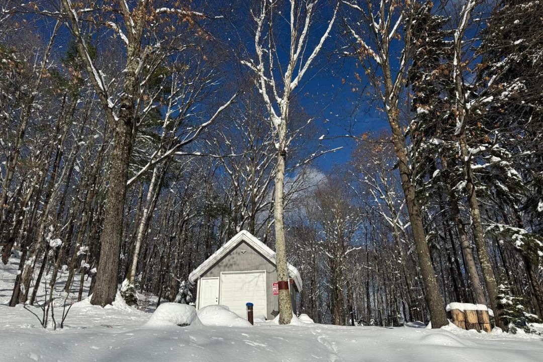 Photo of Others in Almont
