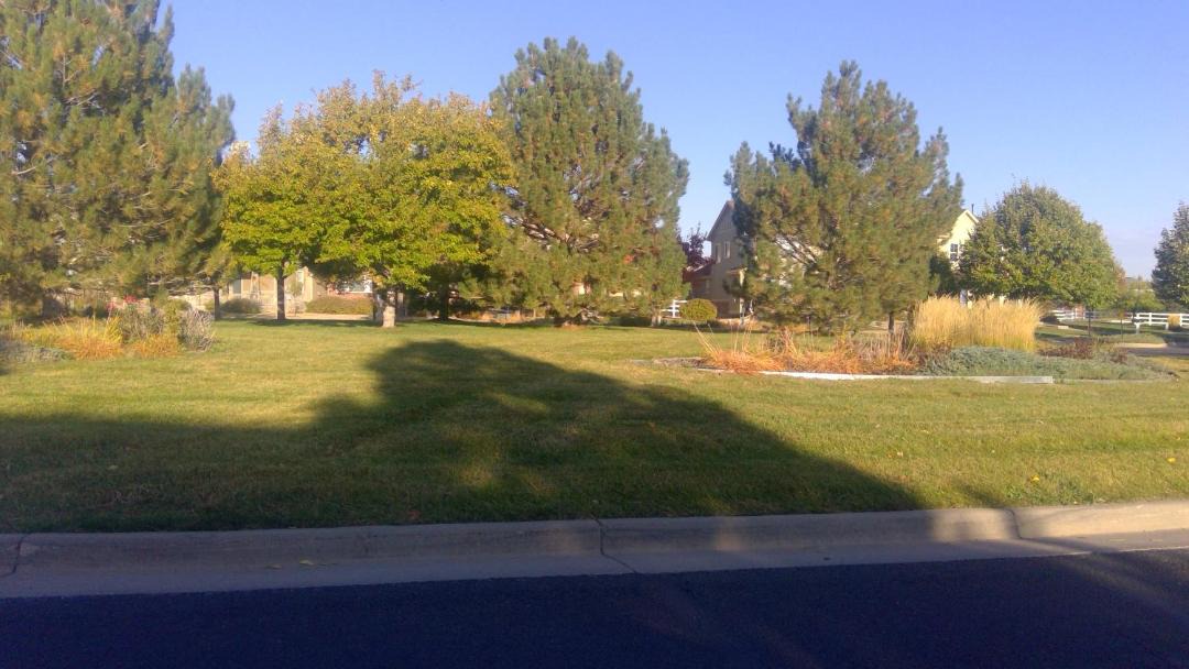 Photo of Others in Aurora