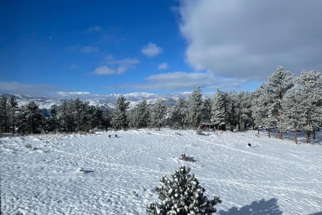 Photo of Others in Glacier View Meadows