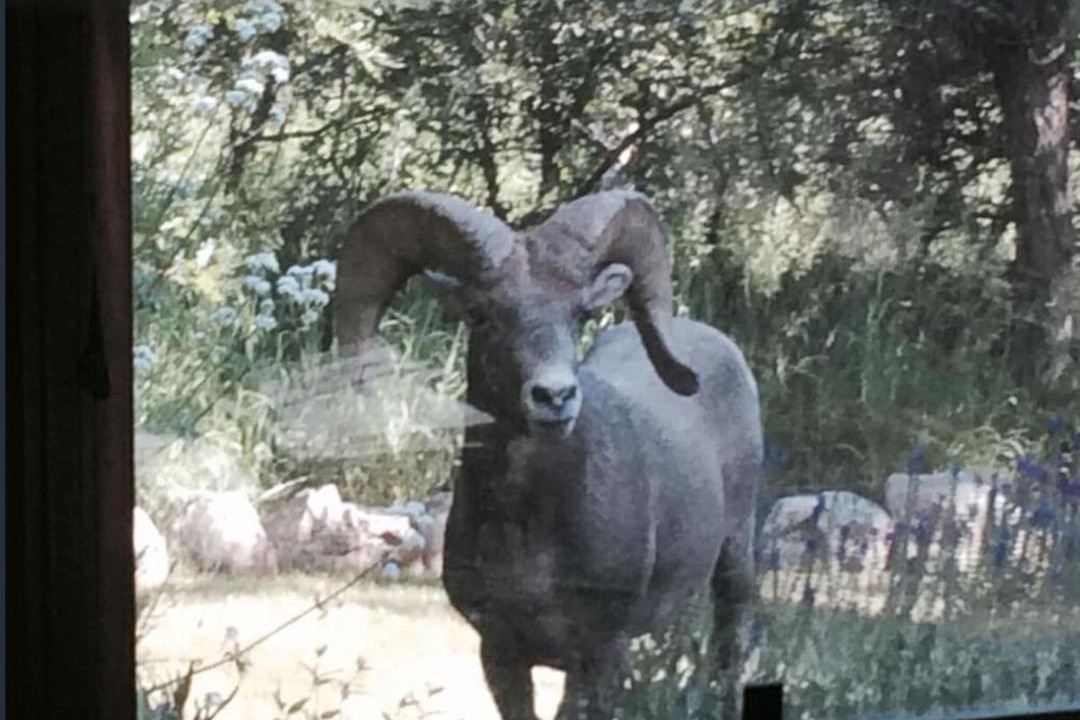 Photo of Others in Glenwood Springs