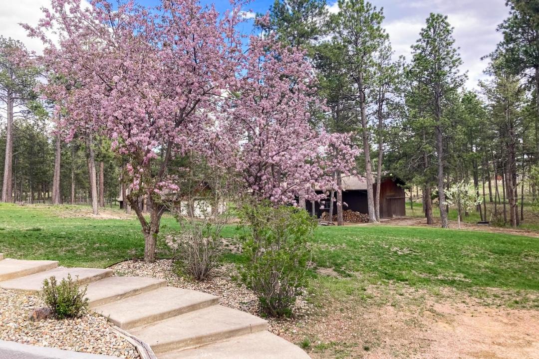Photo of Others in Colorado Springs
