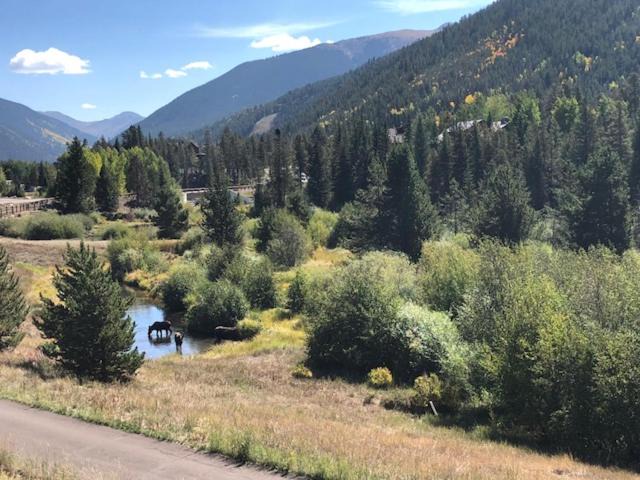 Photo of Others in Keystone