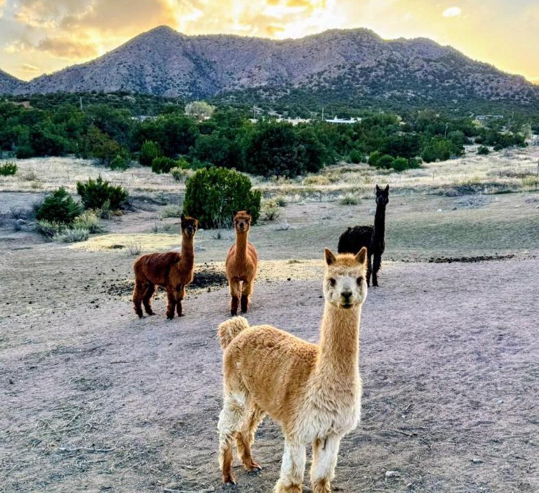 Photo of Others in Canon City