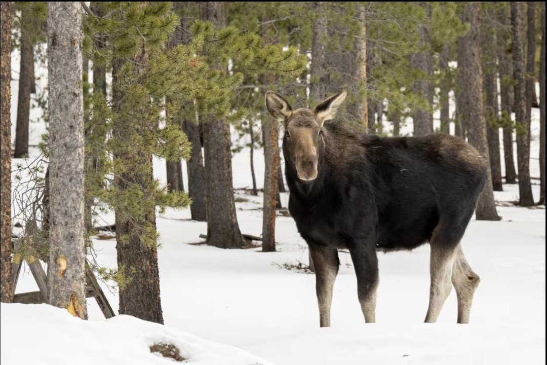 Photo of Others in Glenwood Springs