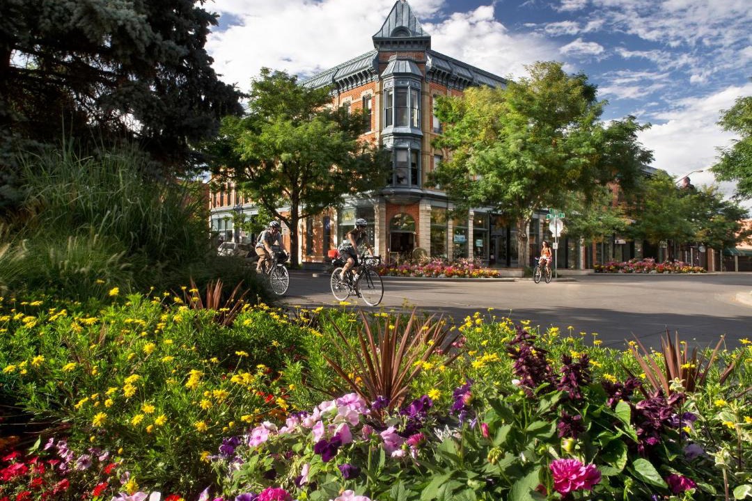 Photo of Others in Old Town North