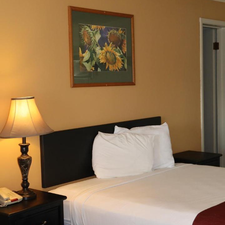 Photo of Bedroom in Montrose