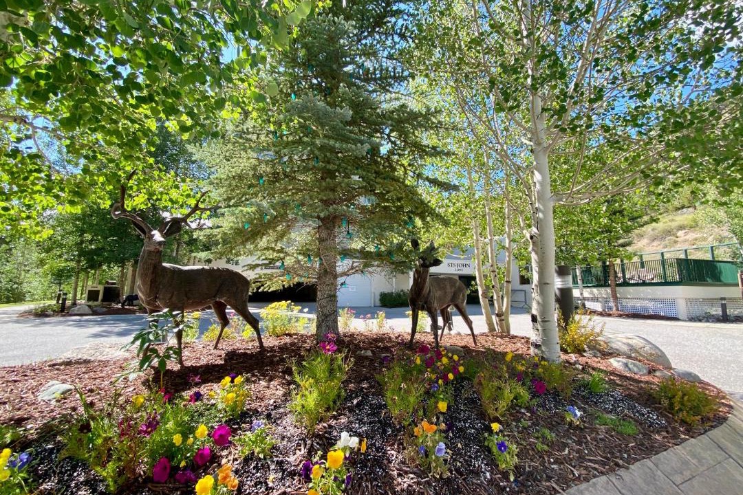 Photo of Others in Keystone