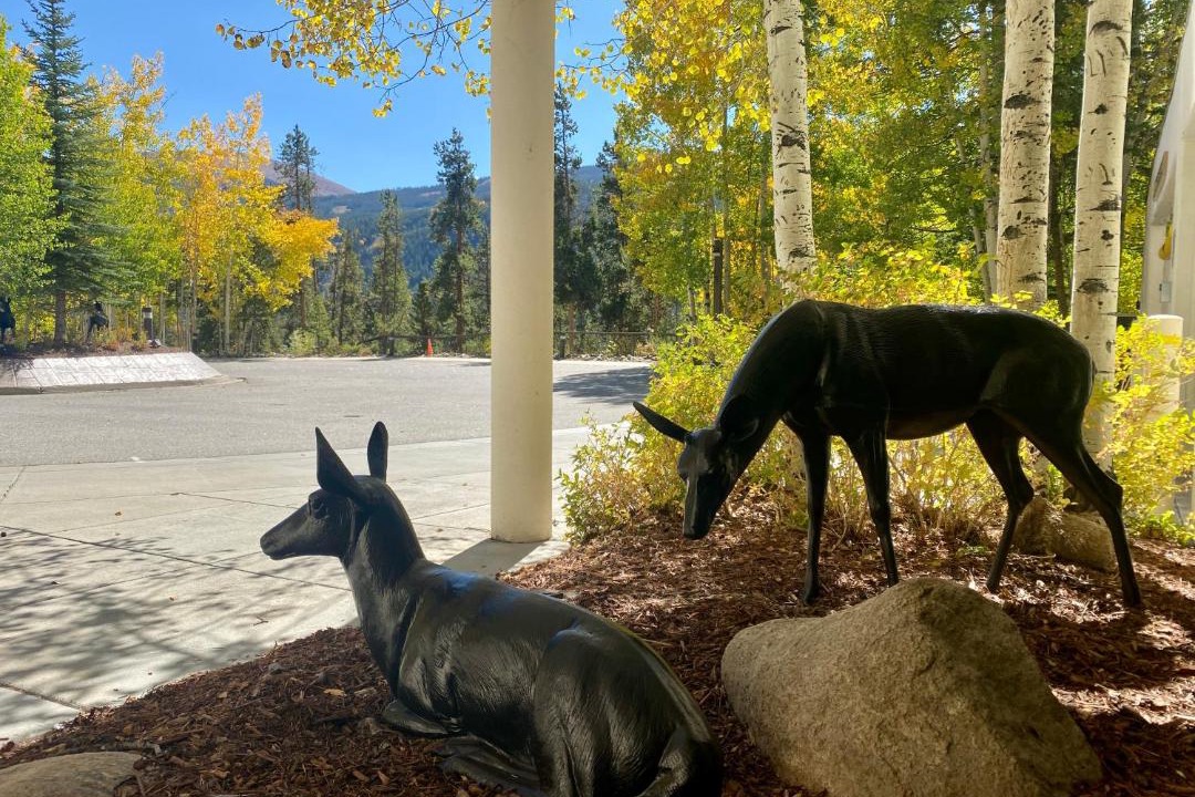 Photo of Others in Keystone