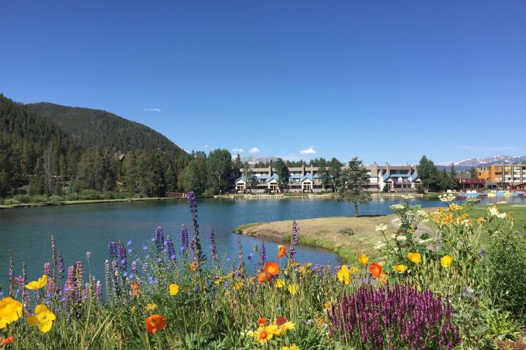 Photo of Others in Lakeside Village