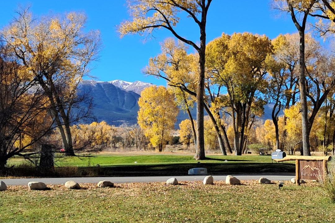 Photo of Others in Buena Vista