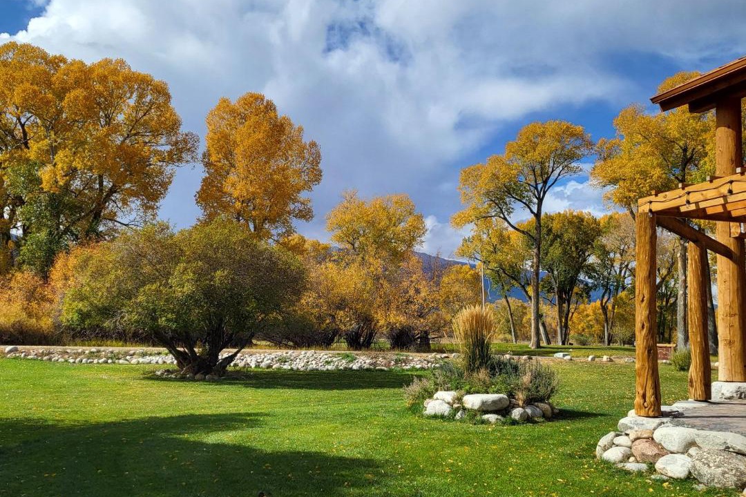 Photo of Others in Buena Vista