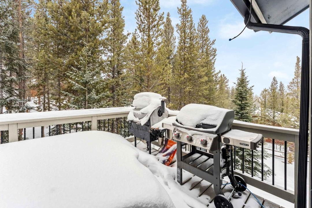 Photo of Patio Balcony in Breckenridge Heights