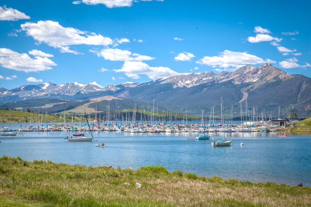 Photo of Others in Dillon