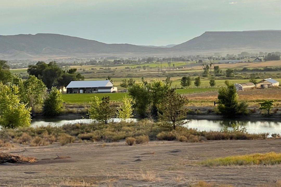 Photo of Others in Fruita