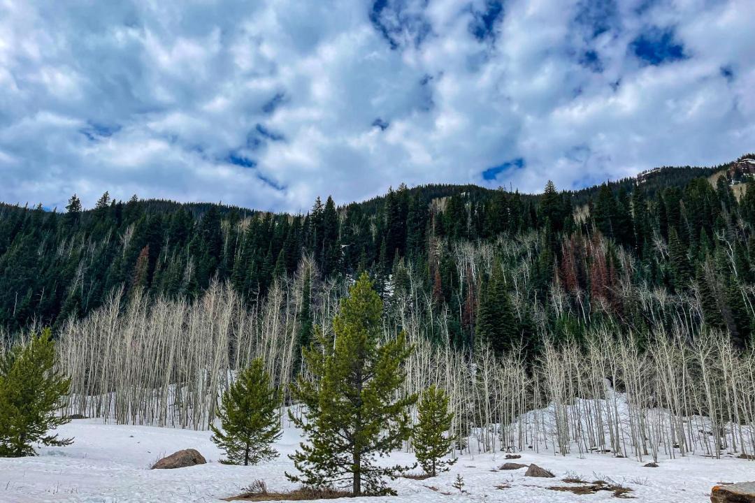 Photo of Others in Vail