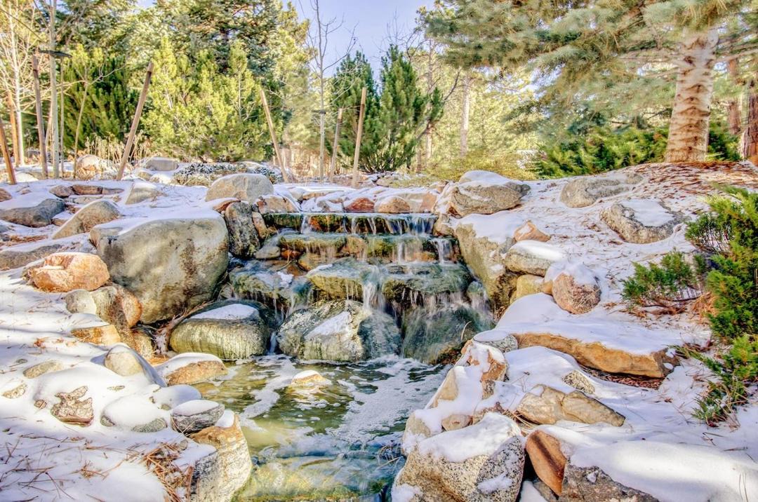 Photo of Others in Colorado Springs