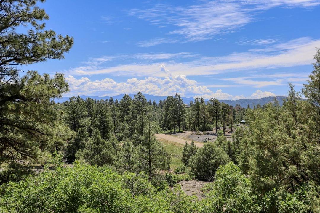 Photo of Others in Pagosa Meadows IV