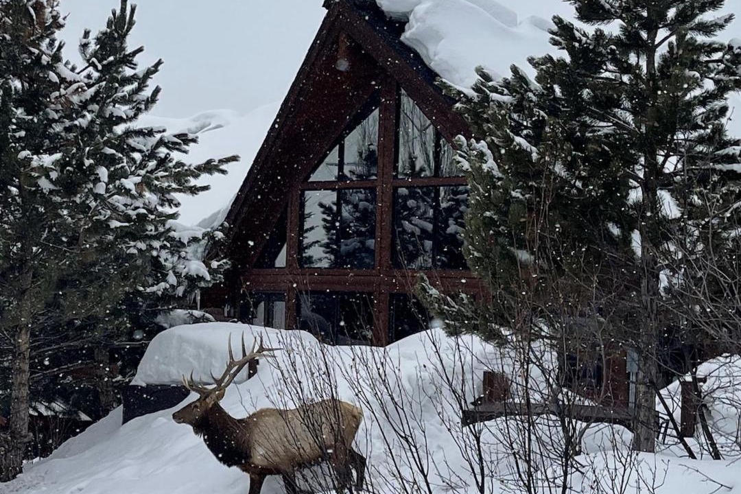 Photo of Others in Steamboat Springs