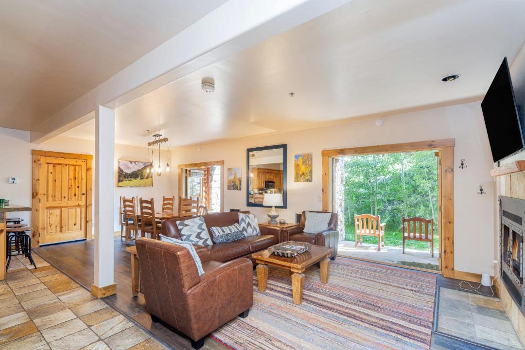 Photo of Livingroom in Mountain Village