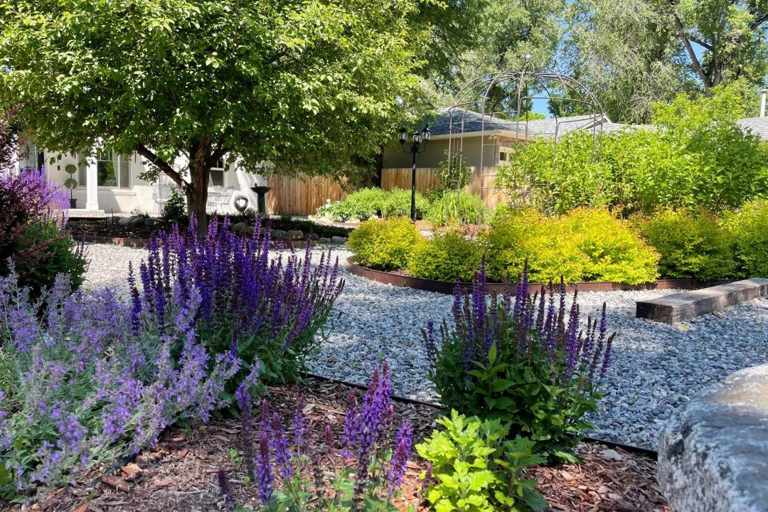 Photo of Outdoor in Colorado Springs