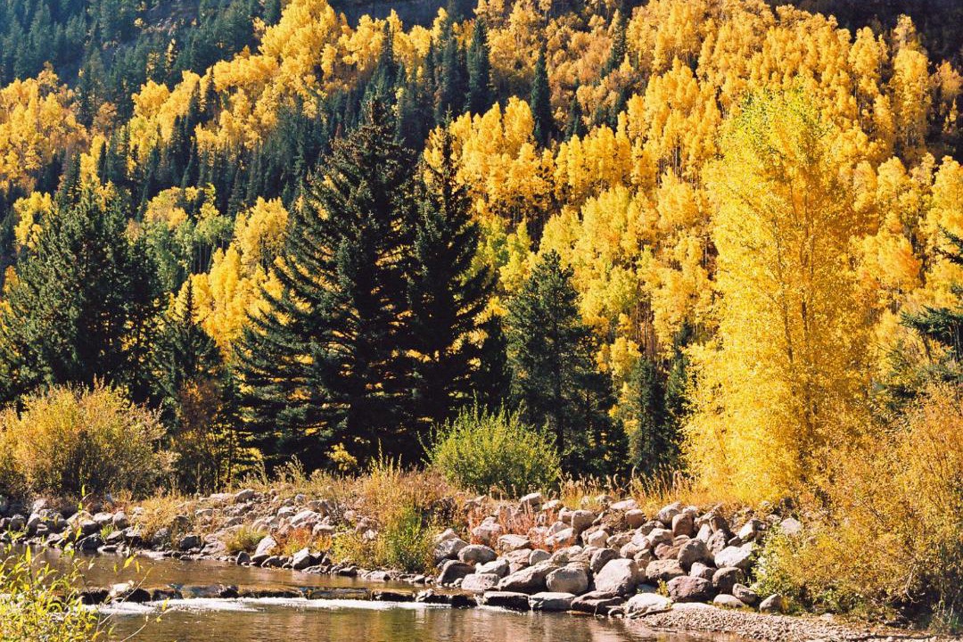 Photo of Others in Vail