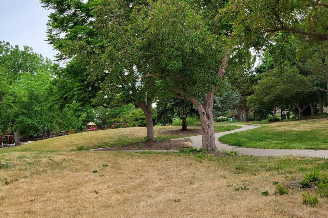 Photo of Others in Allendale Area