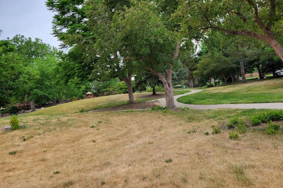 Photo of Others in Allendale Area