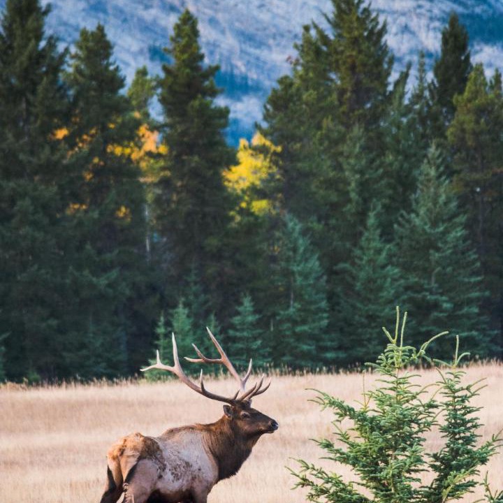 Photo of Others in Winter Park