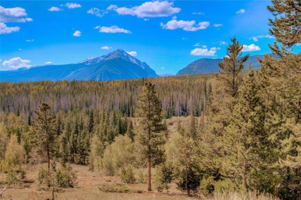 Photo of Outdoor in Wildernest