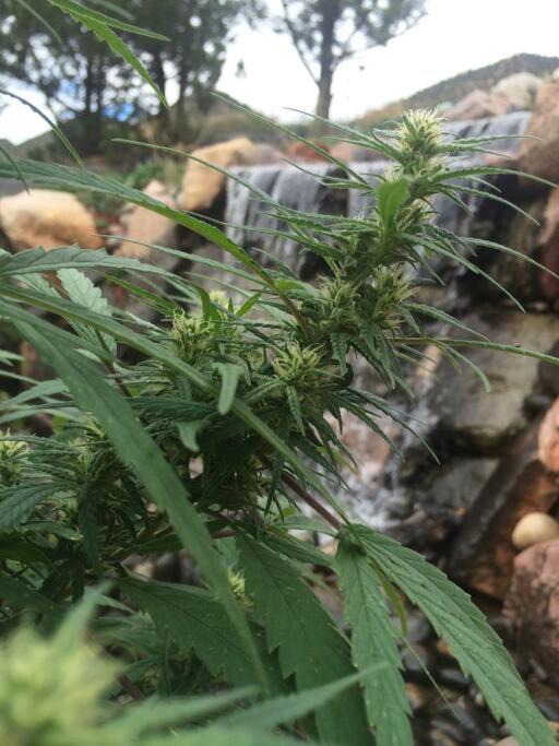Photo of Outdoor in Glenwood Springs