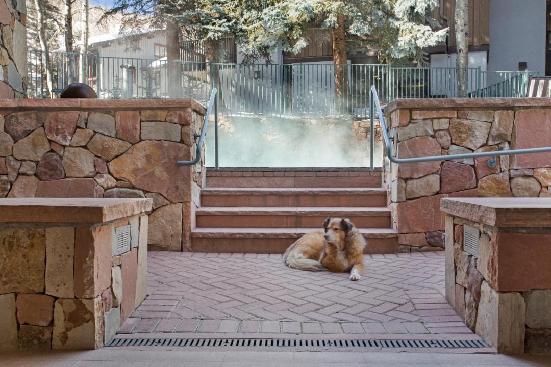 Photo of Others in Vail