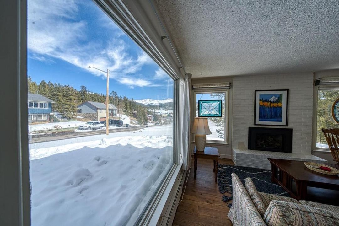 Photo of Others in Leadville North
